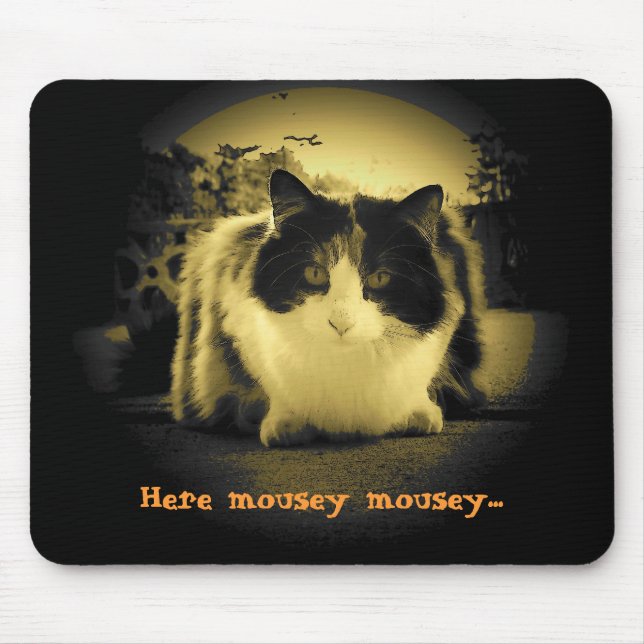 Mousepad Cat quer que ratos saiam e joguem (Frente)