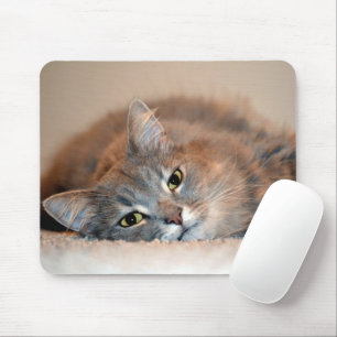Mousepad Cat Russo Azul de Cabelo Longo por Shirley Taylor