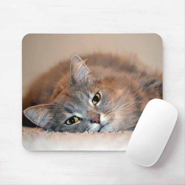 Mousepad Cat Russo Azul de Cabelo Longo por Shirley Taylor (Com mouse)