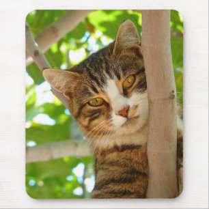 Mousepad Cat Subindo uma Árvore