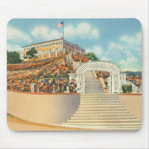 Mousepad Catalina