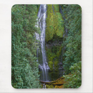 Mousepad Cataratas Lower Proxy Floresta Nacional de Willa