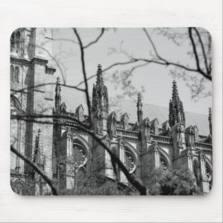 Mousepad Catedral no primavera