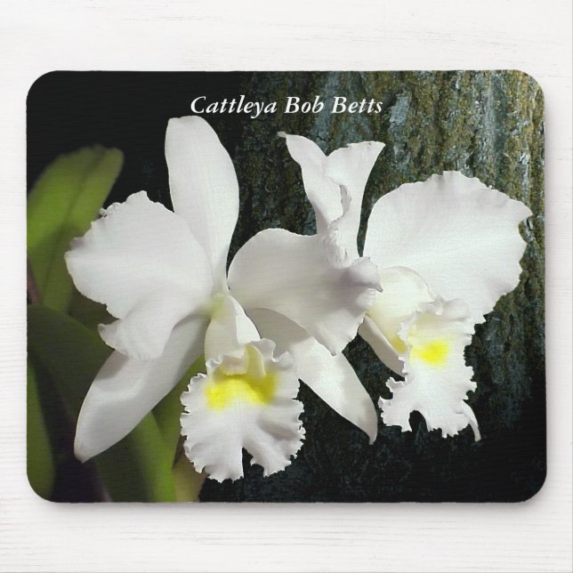 Mousepad Cattleya Bob Betts (Frente)