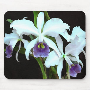 Mousepad Cattleyas espectral
