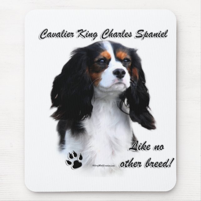 Mousepad Cavaleiro Como Nenhuma Outra Raça (Frente)