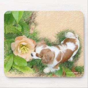 Mousepad Cavaleiro Rei Charles Spaniel