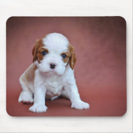 Mousepad Cavalier King Charles Spaniel