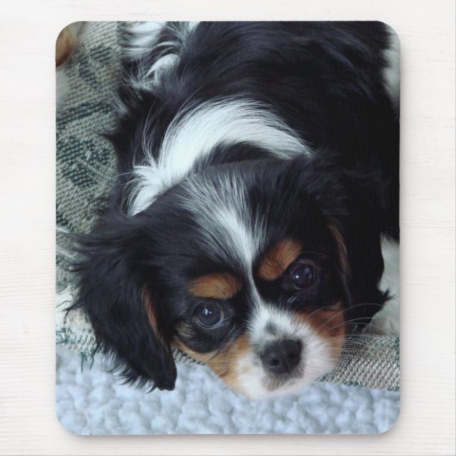 Mousepad Cavalier King Charles Spaniel (Frente)