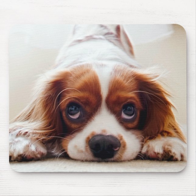Mousepad Cavalier King Charles Spaniel (Frente)