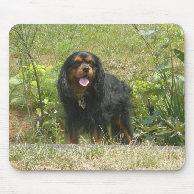 Mousepad Cavalier rei Charles spaniel (Frente)