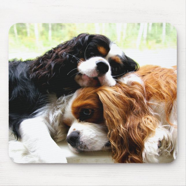 Mousepad Cavaliers dos irmãos (Frente)