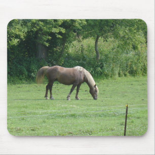 Mousepad Cavalo