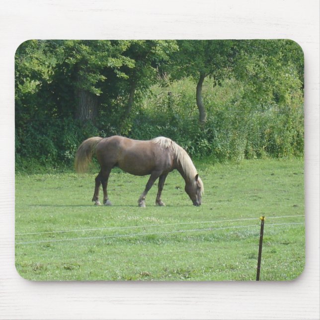 Mousepad Cavalo (Frente)