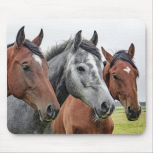 Mousepad Cavalo