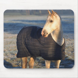 Mousepad cavalo