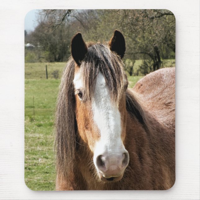 MOUSEPAD CAVALO (Frente)