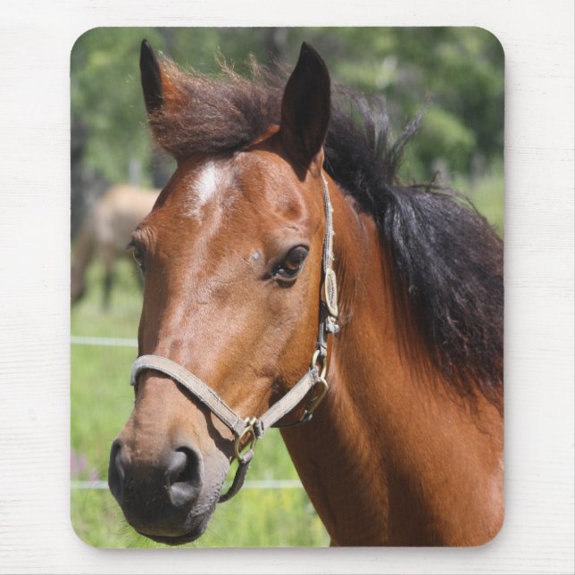 Mousepad Cavalo (Frente)