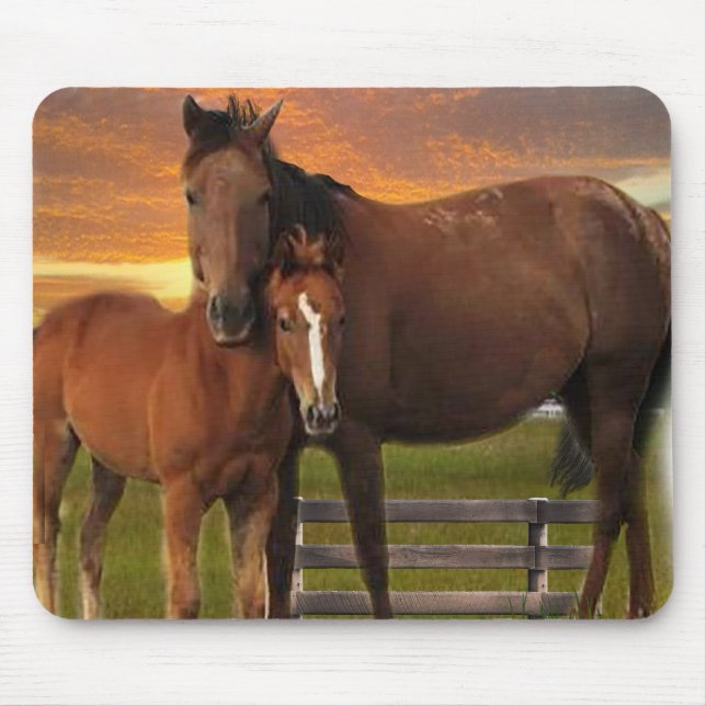 Mousepad Cavalo (Frente)