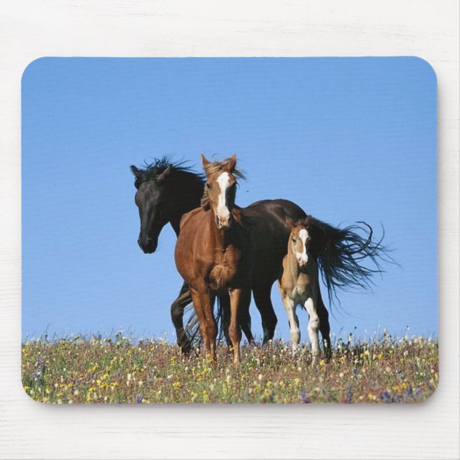 Mousepad cavalo (Frente)