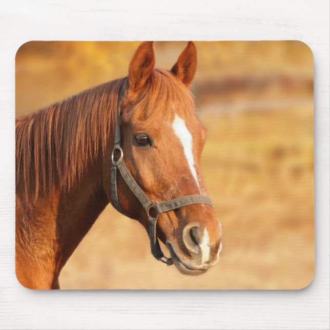Mousepad Cavalo (Frente)