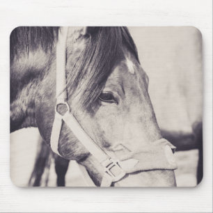 Mousepad Cavalo 009