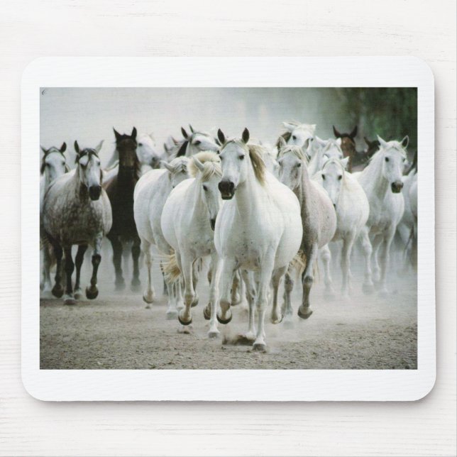 Mousepad Cavalo (1) (Frente)