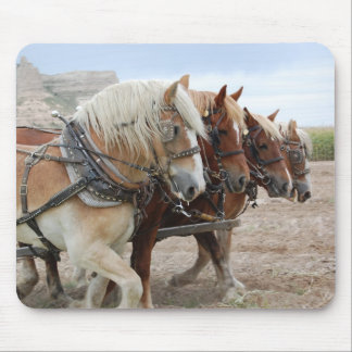 Mousepad Cavalo americano do trabalho