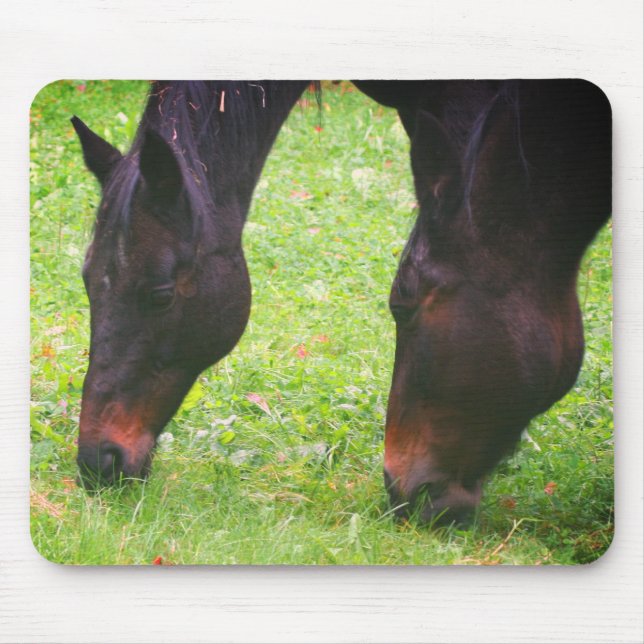 Mousepad Cavalo Amigos Grazing (Frente)