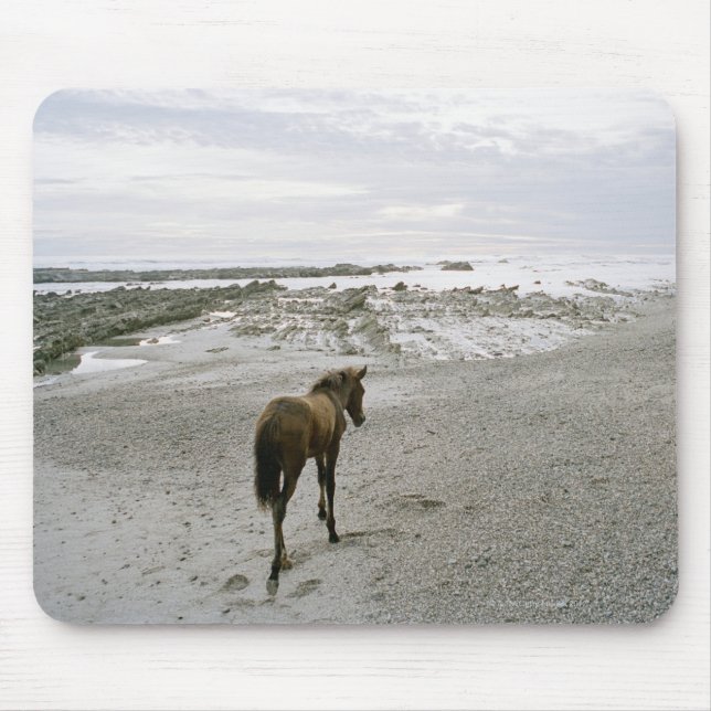 Mousepad Cavalo andando na praia (Frente)