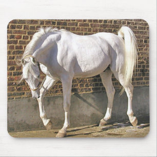 Mousepad Cavalo árabe branco bonito