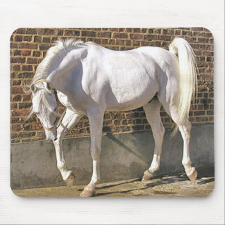 Mousepad Cavalo árabe branco bonito