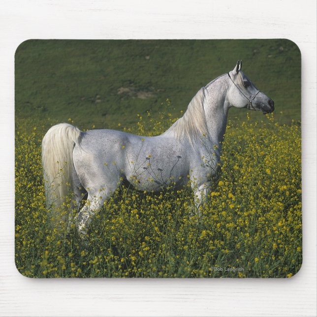 Mousepad Cavalo árabe que está nas flores (Frente)