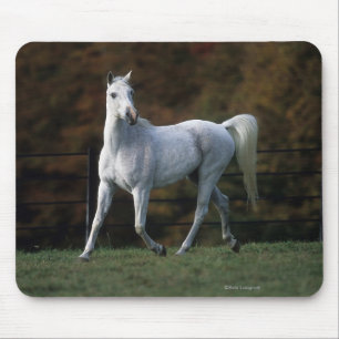Mousepad Cavalo árabe que funciona 1
