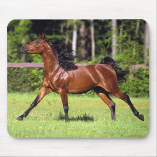 Mousepad Cavalo árabe que funciona 2