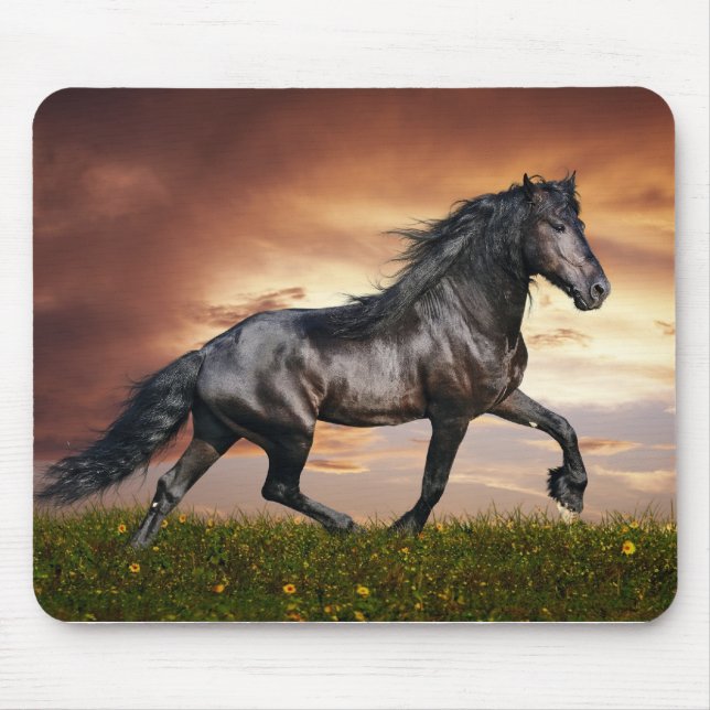 Mousepad Cavalo bonito (Frente)