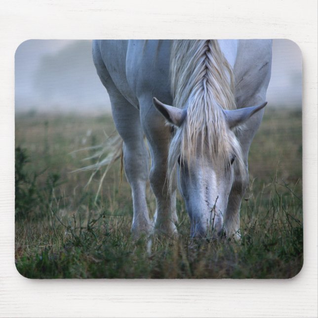Mousepad Cavalo branco (Frente)