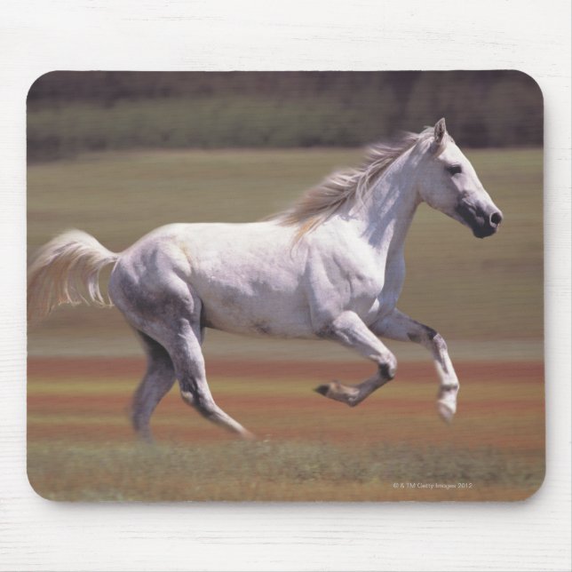 Mousepad Cavalo branco correndo no campo (Frente)