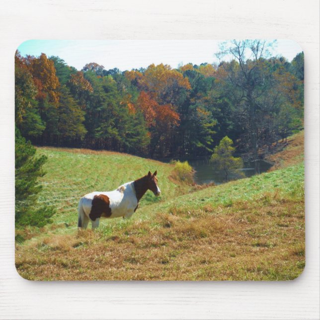 Mousepad Cavalo branco e castanho, lagoa de outono (Frente)