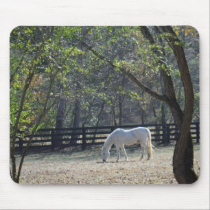 Mousepad Cavalo Branco em árvores