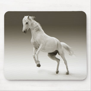 Mousepad Cavalo branco equestre da égua