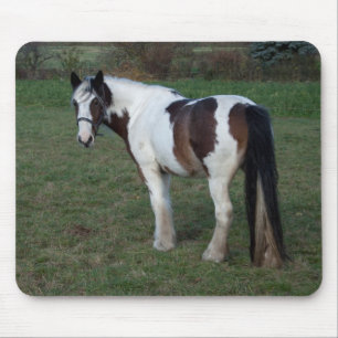 Mousepad Cavalo Branco Marrom