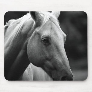 Mousepad Cavalo Branco Negro