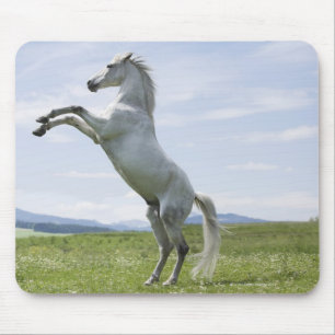 Mousepad cavalo branco que salta no prado