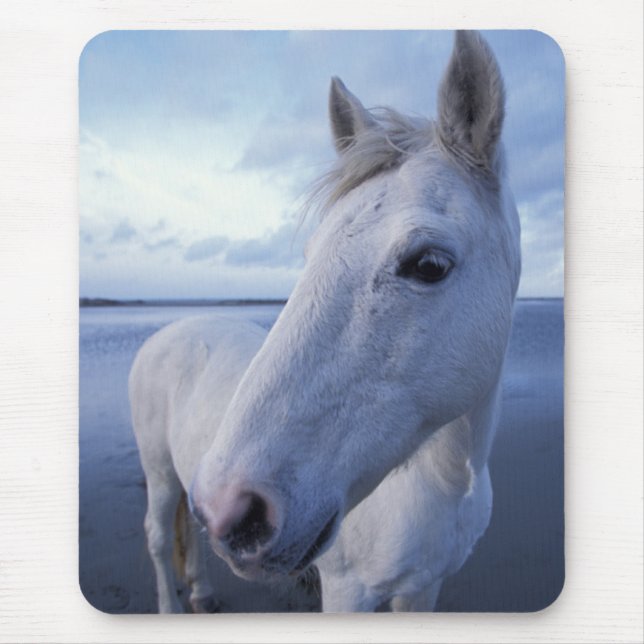 Mousepad Cavalo Camargue (Frente)