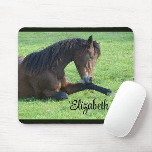 Mousepad Cavalo castanho bonito a vaiar na grama