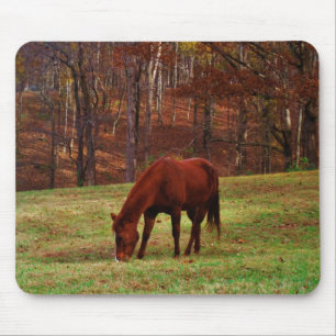 Mousepad Cavalo castanho com nariz branco na borda do bosqu