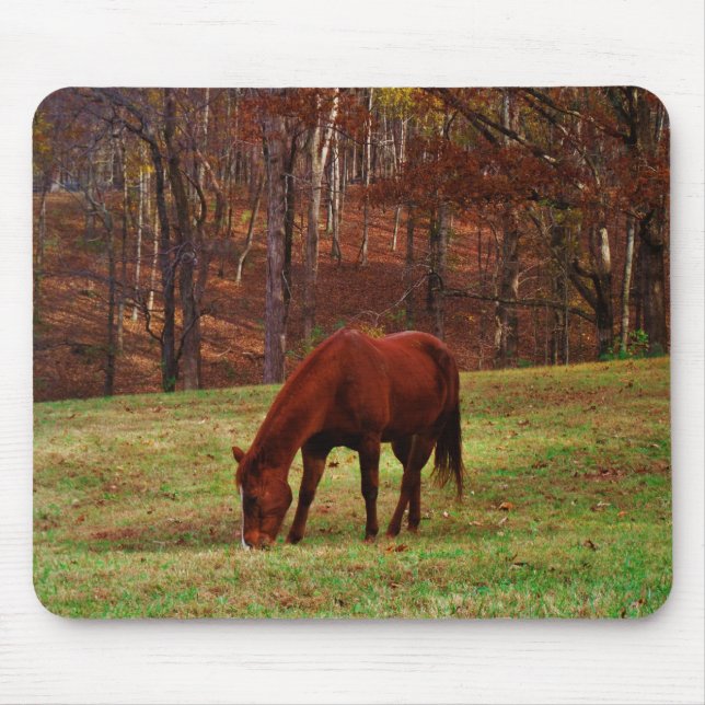 Mousepad Cavalo castanho com nariz branco na borda do bosqu (Frente)