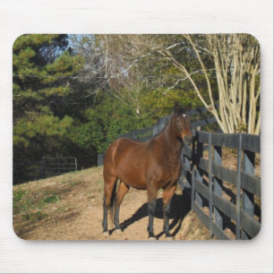 Mousepad Cavalo castanho contra cerca