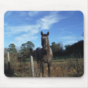 Mousepad Cavalo castanho de chocolate em azul
